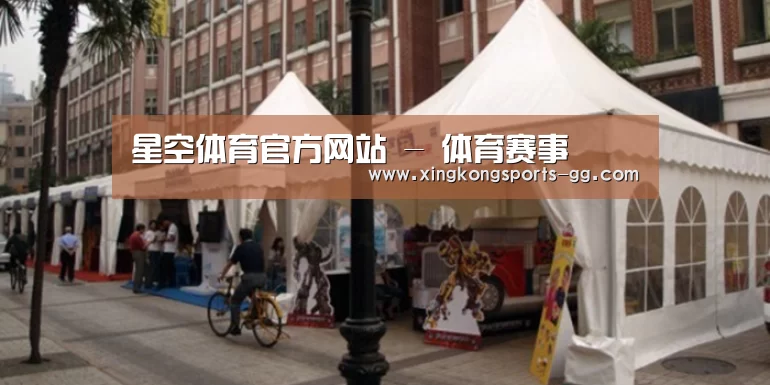 案例标题九