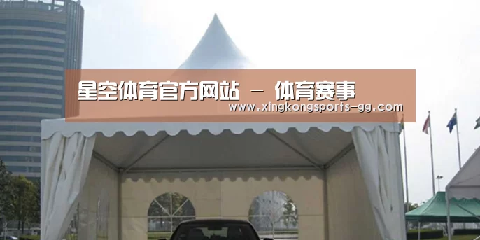 案例标题八
