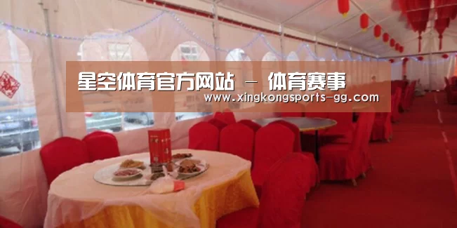 案例标题二