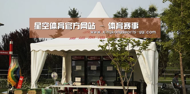 案例标题五