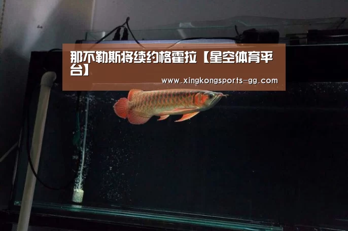 那不勒斯将续约格霍拉【星空体育平台】(图3) 星空体育app登录