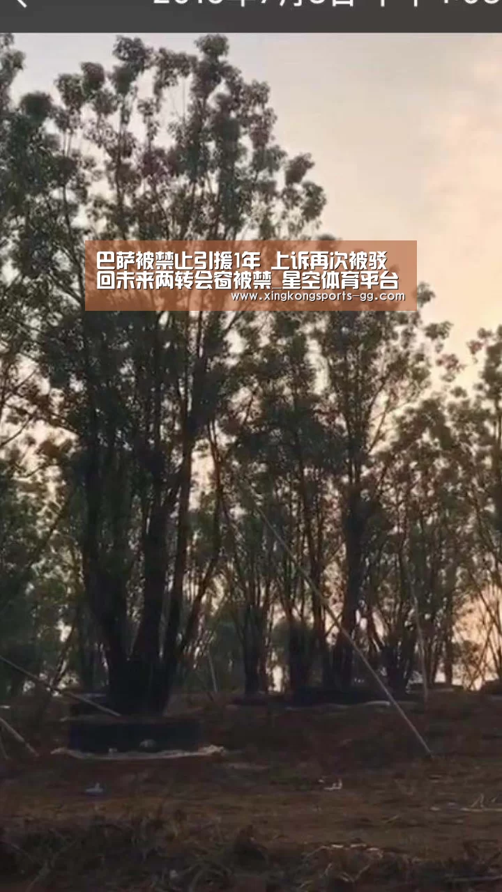 星空体育app登录